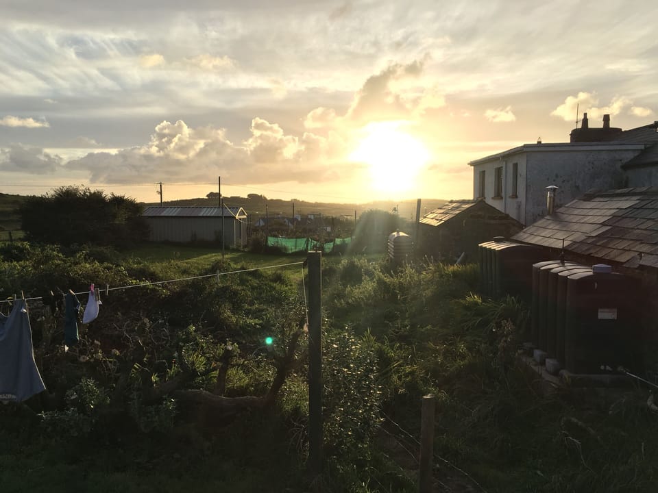 A view from the back garden.