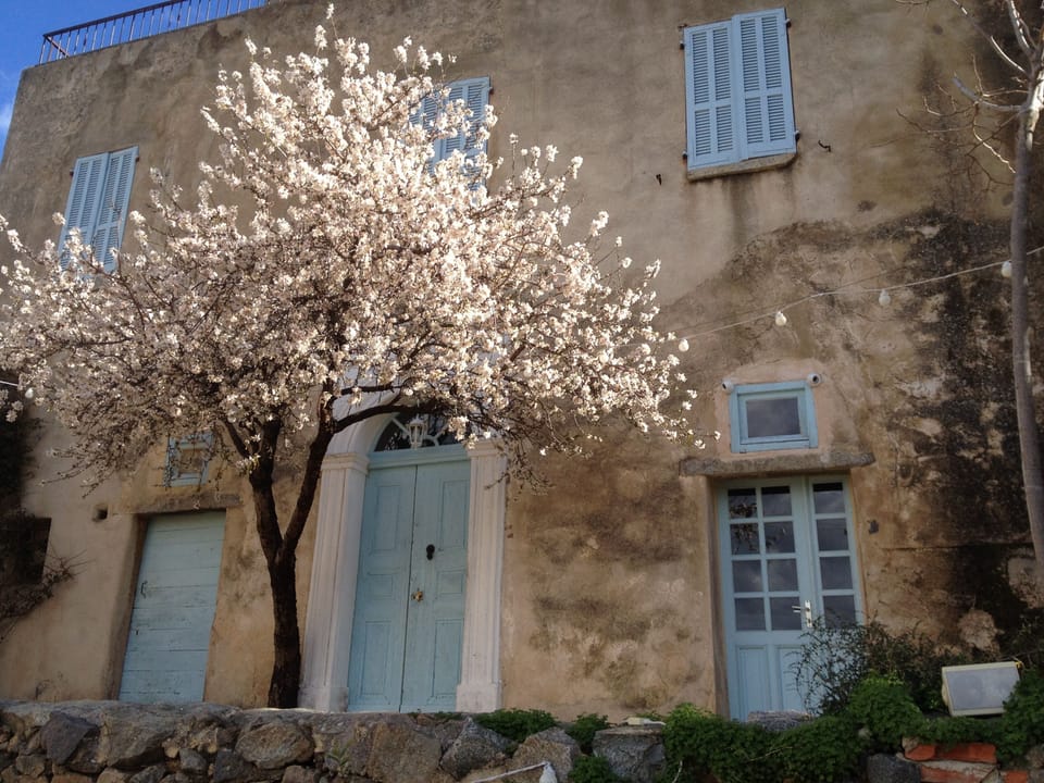 At Casa Musicale