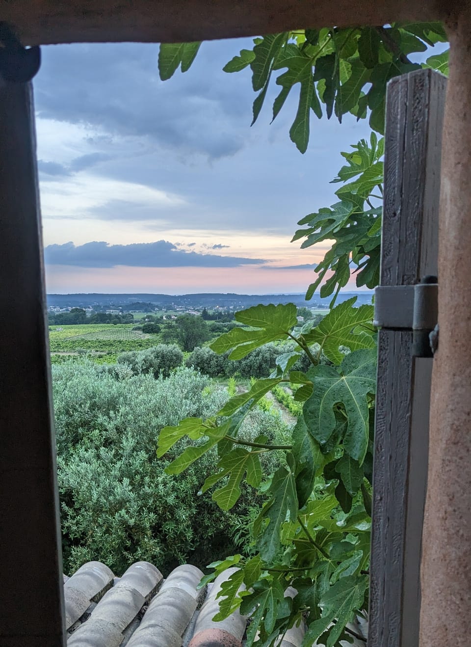 View from property