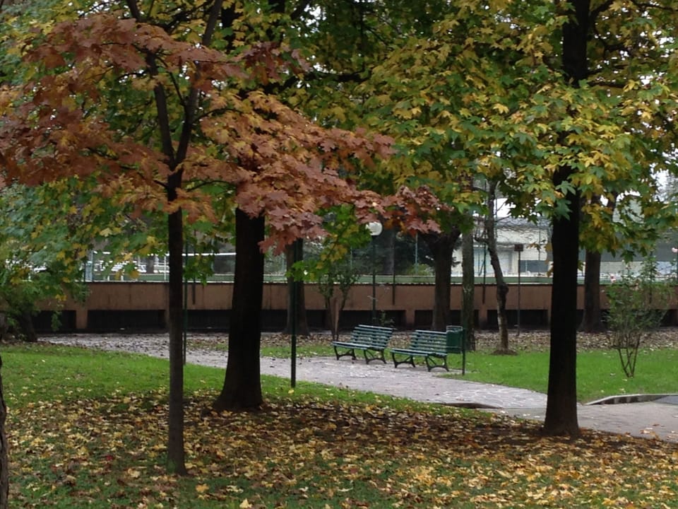 Relaxing in the park in autumn version. In the background the 2 tennis courts.