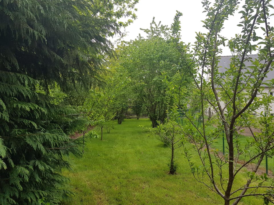 Enclosed orchard