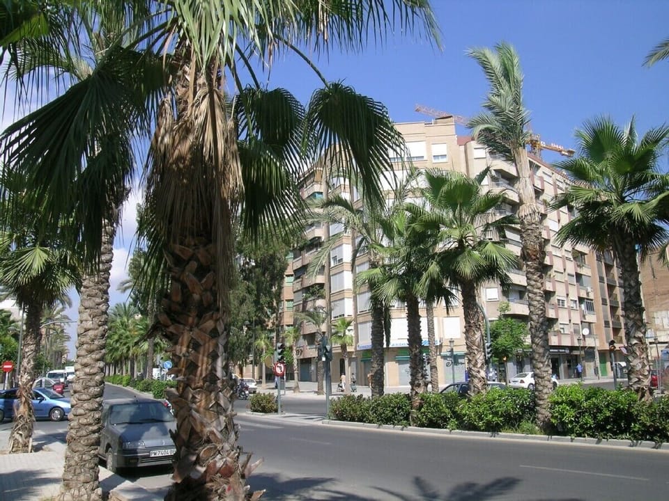 Overlooks wide Palm laden Avenue. Adjacent to Historic City. Free On-St parking