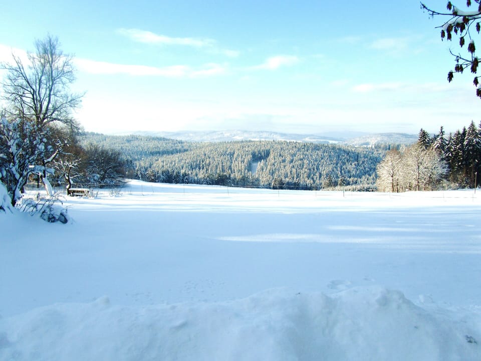 Valley view in winter