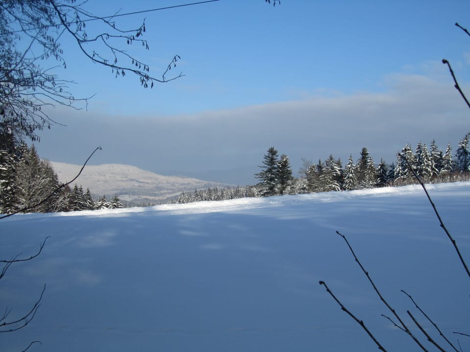 Winter view towards Kaitersberg