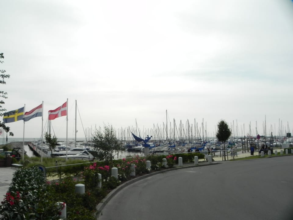 Marina