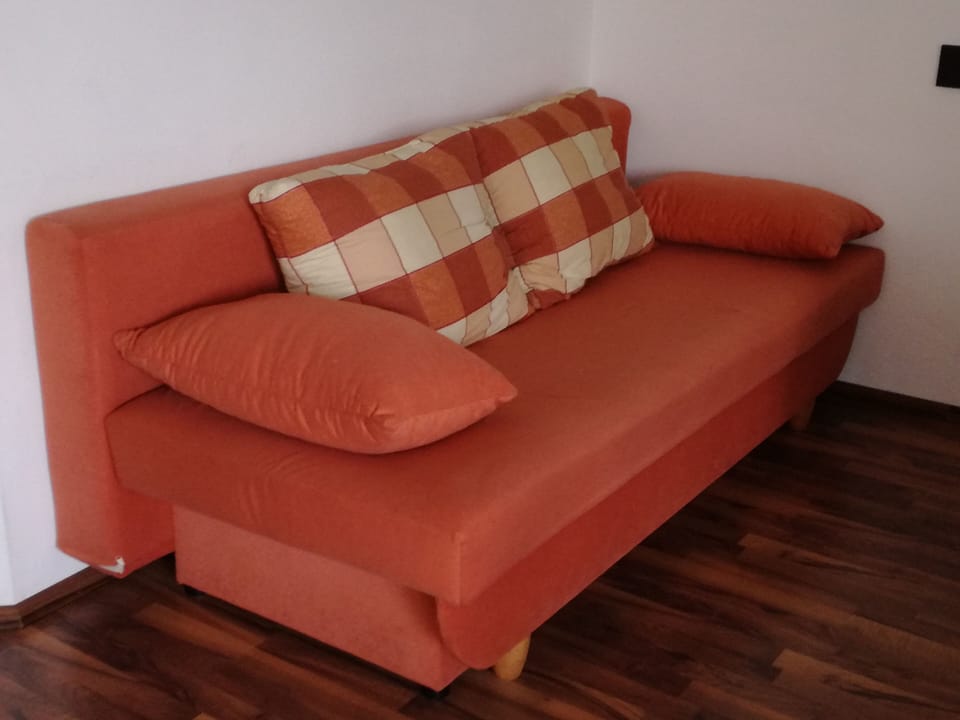 Couch in the living room