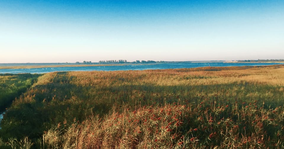 In a few minutes at the sea! Deceleration on the Baltic Sea plot!  House in Zingst