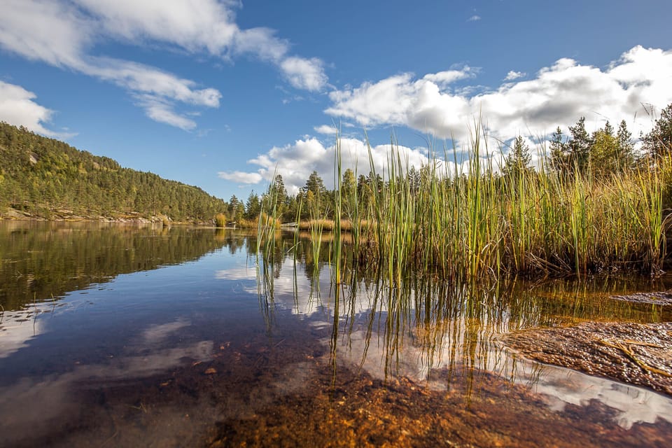 Lake