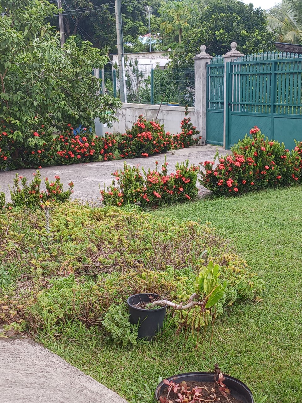 Property grounds