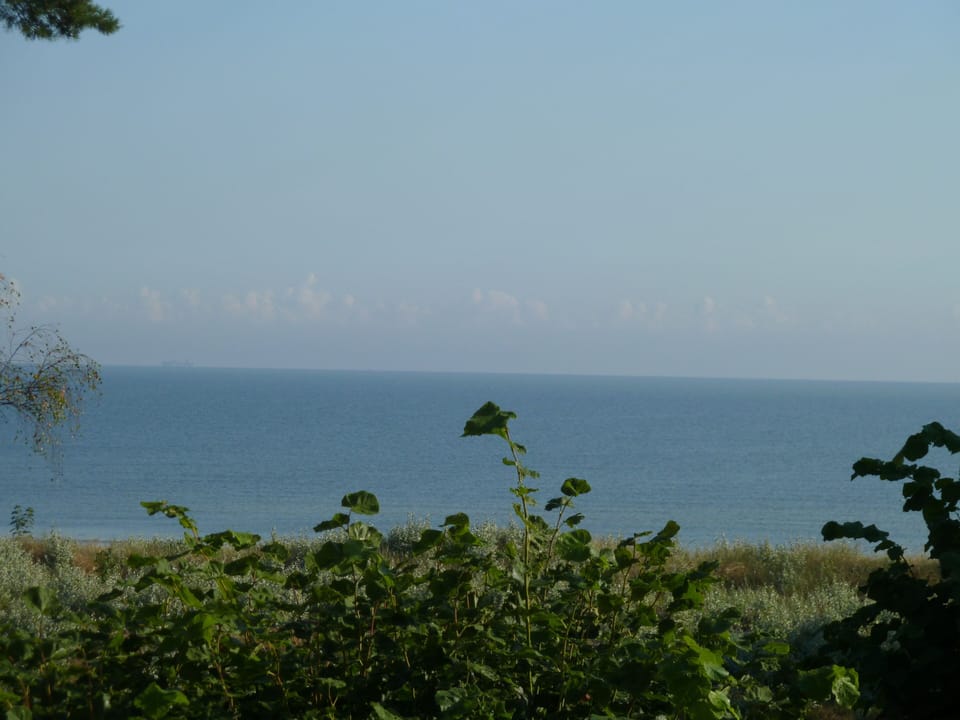 Beach/ocean view
