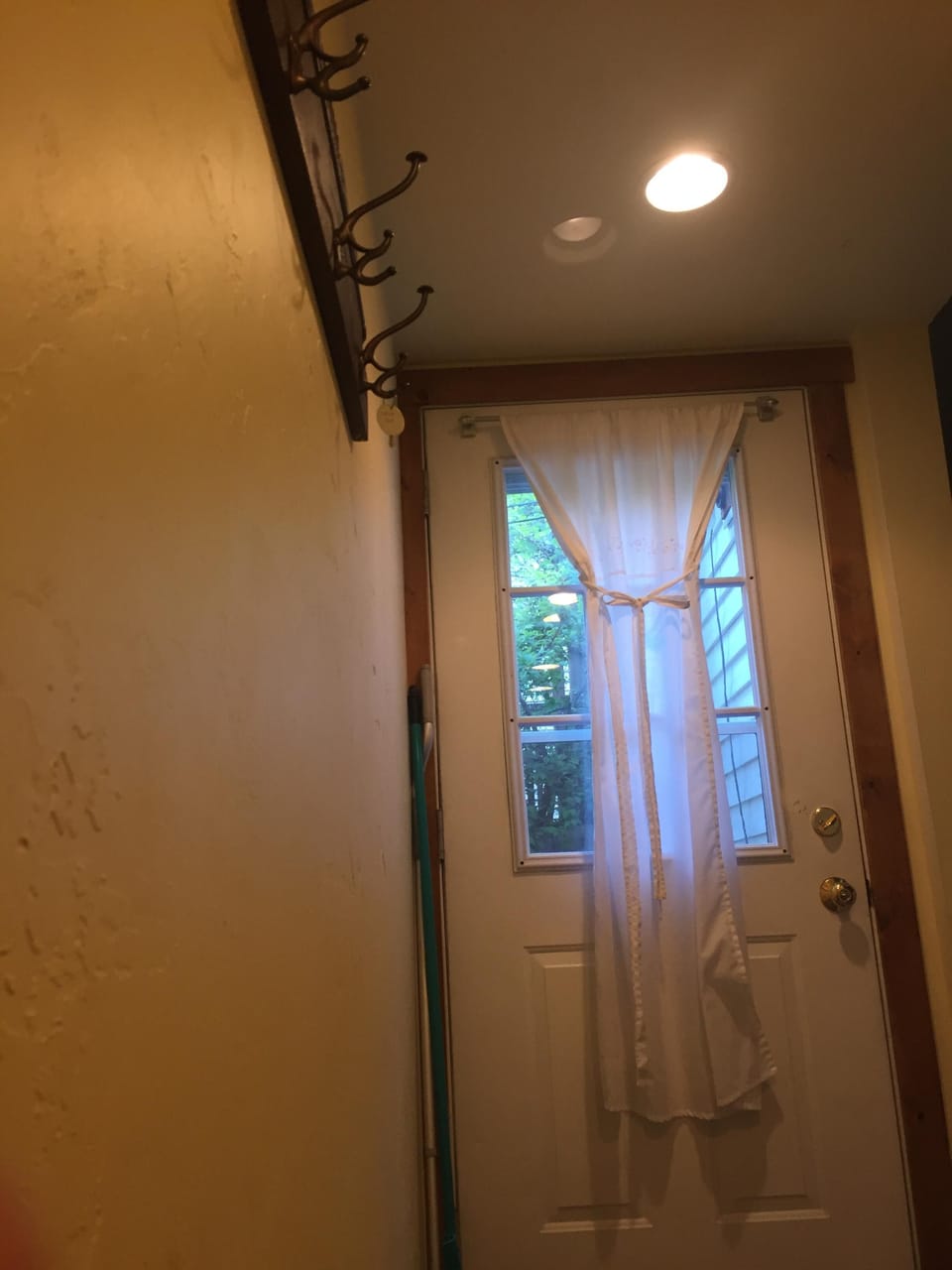 Backdoor and coat hooks 