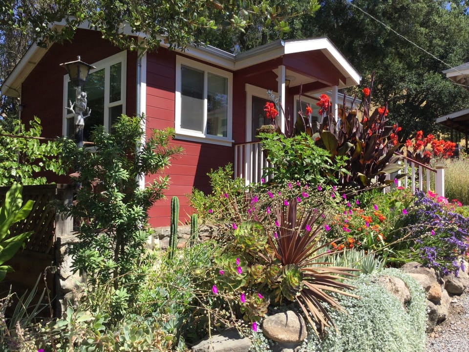 Surrounded by beautiful garden