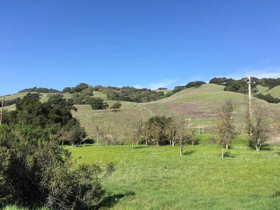 Beautiful pasture, perfect place to relax and still be close to all you need