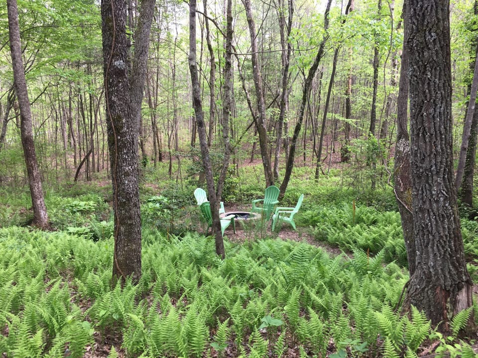 Firepit & 4 chairs, by the creek.