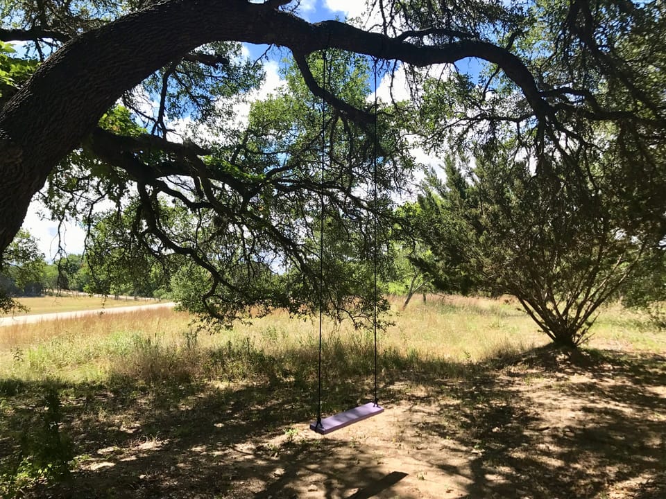Tree swings.