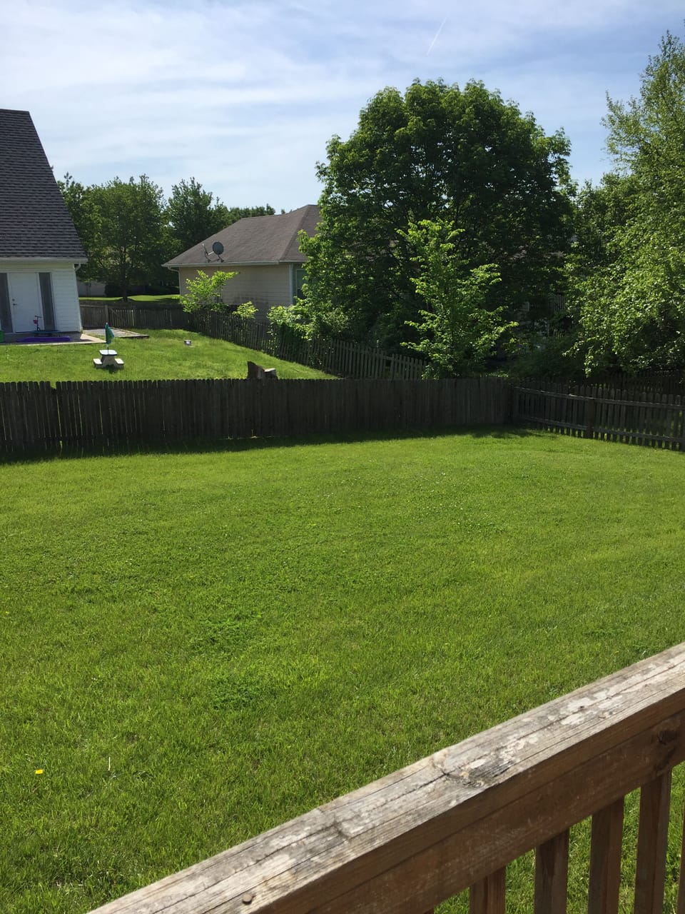 The back yard. 