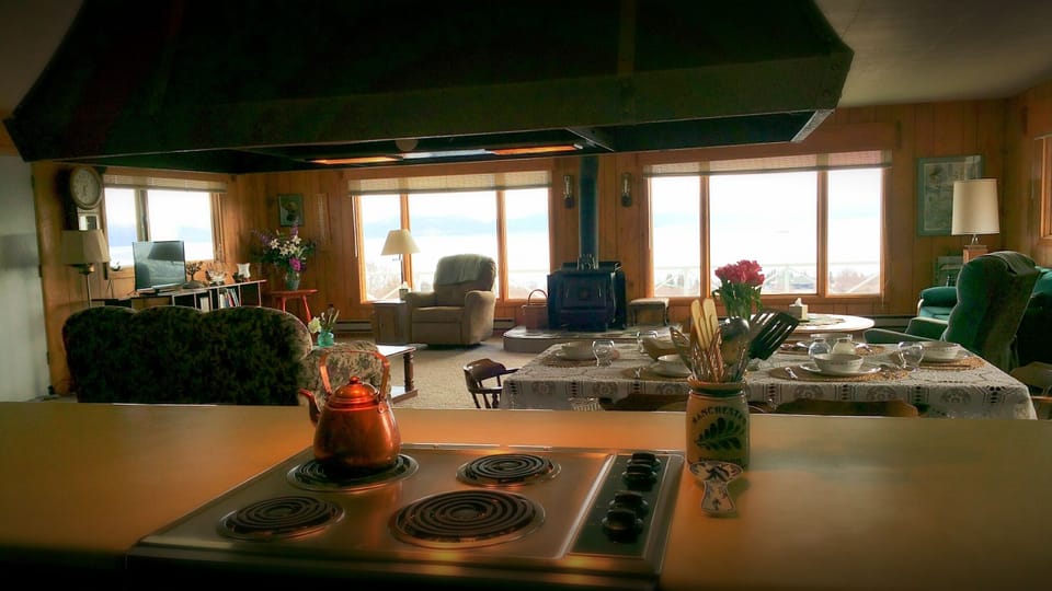 View from the kitchen and spacious living room