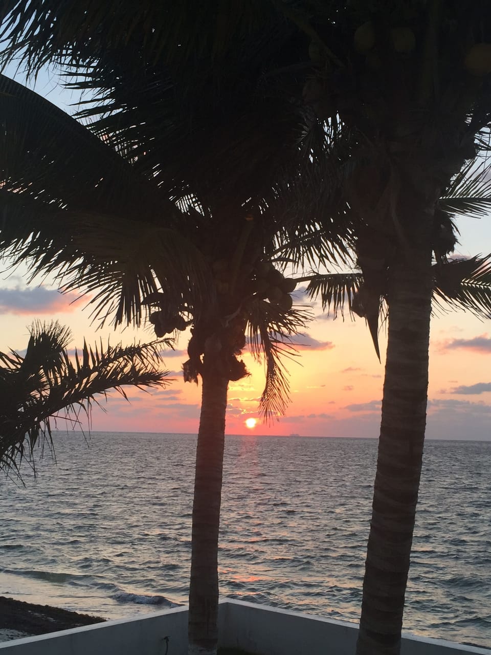 Early morning sunrise