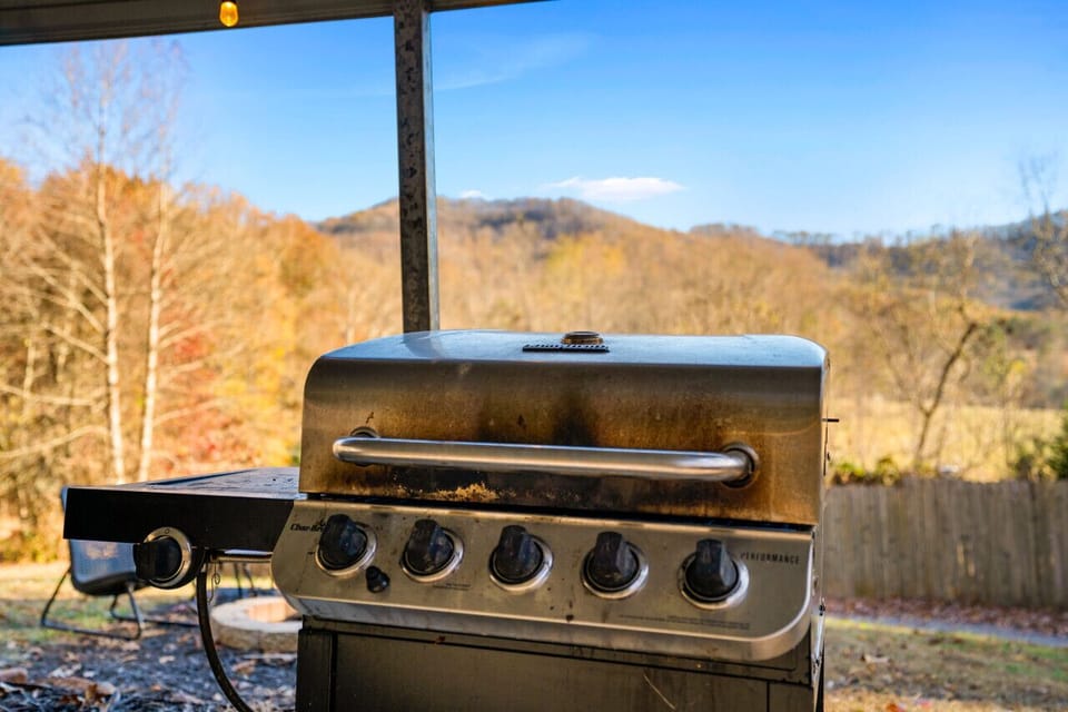 Gas grill