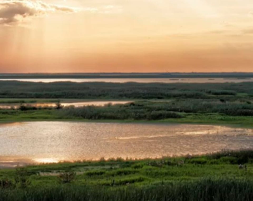 View of the Manahawkin Wildlife Refuge from front deck