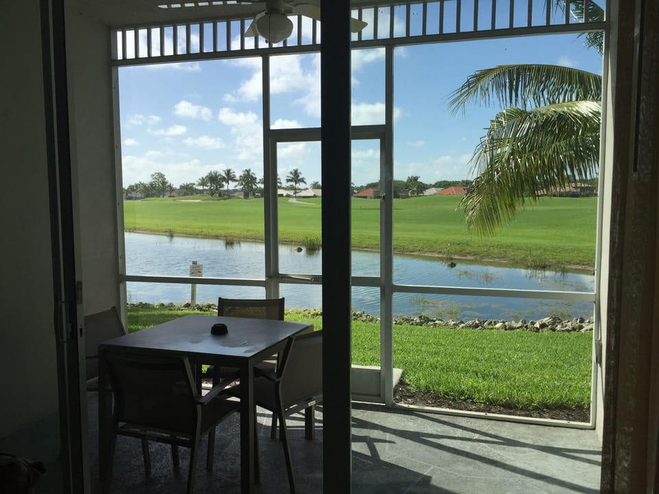 Patio view in the afternoon