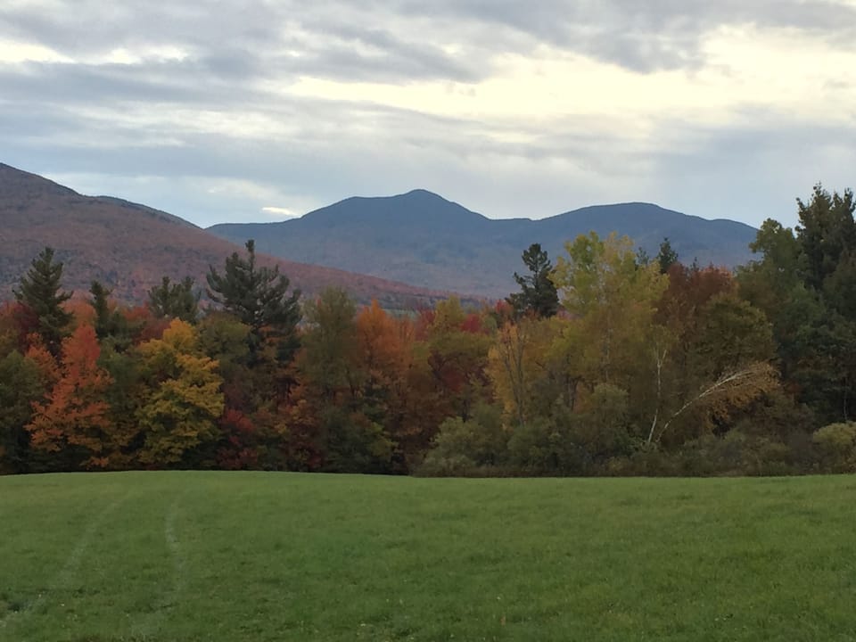 Foliage view of mountains on walking trail near our house