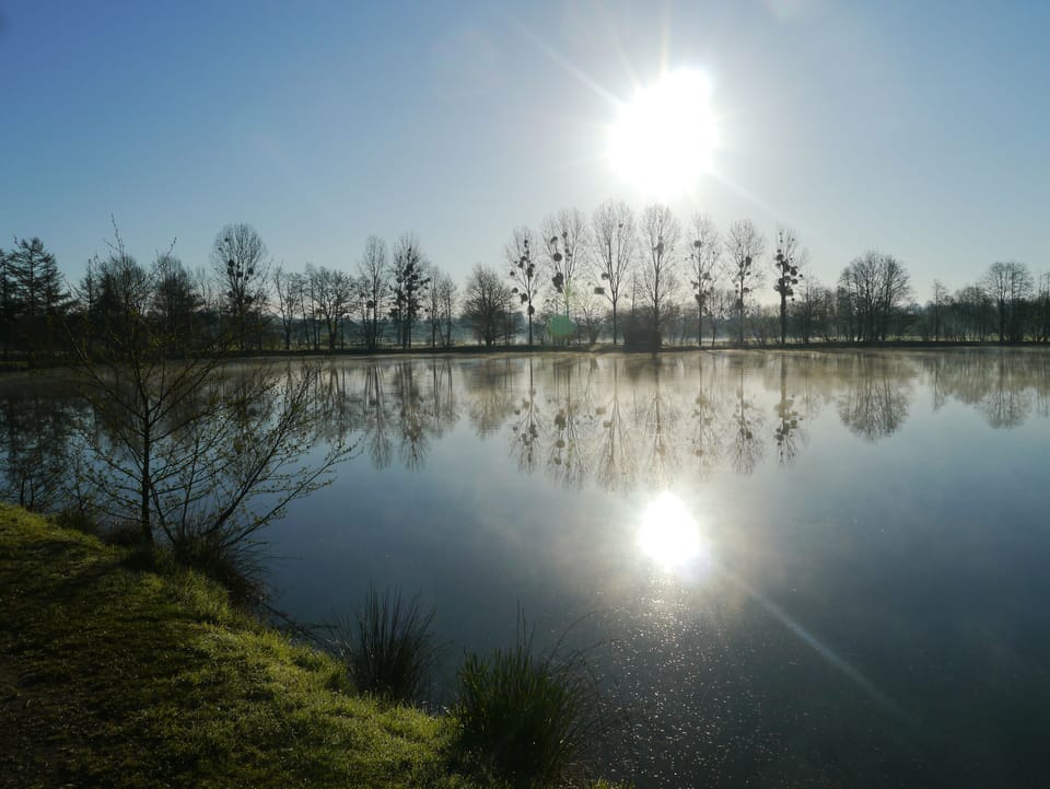 take a stroll at Brecey lake