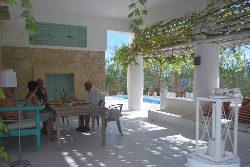 Large outdoor area shaded via a grapevine