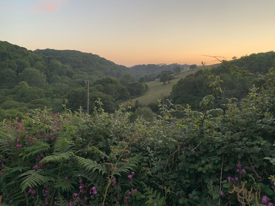 Walk from the cottage for the delights of an evening stroll in high summer