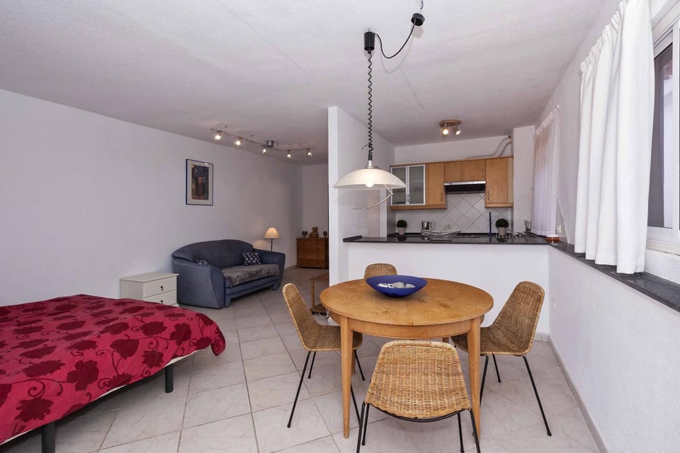 Living  / sleeping area of Garden Apartment. 