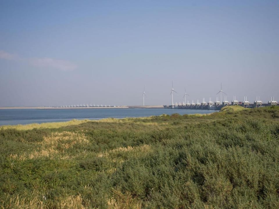 Surroundings [summer] (1-5 km)