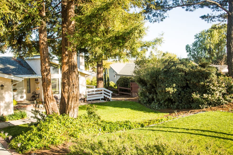 Front Yard