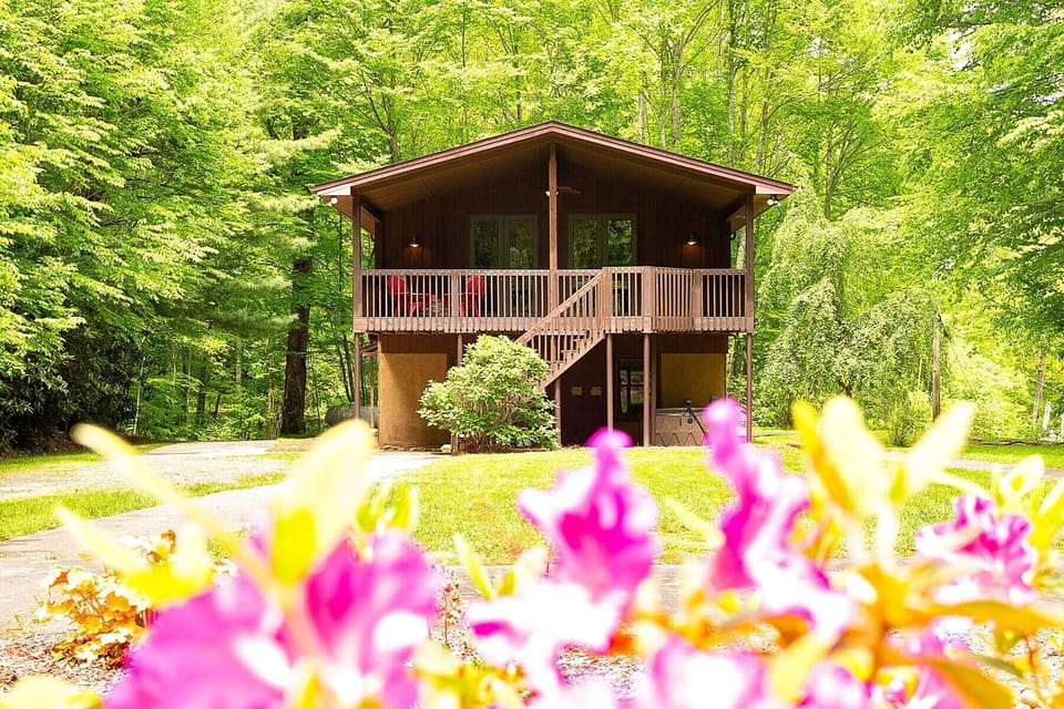 A view of the cabin from the courtyard