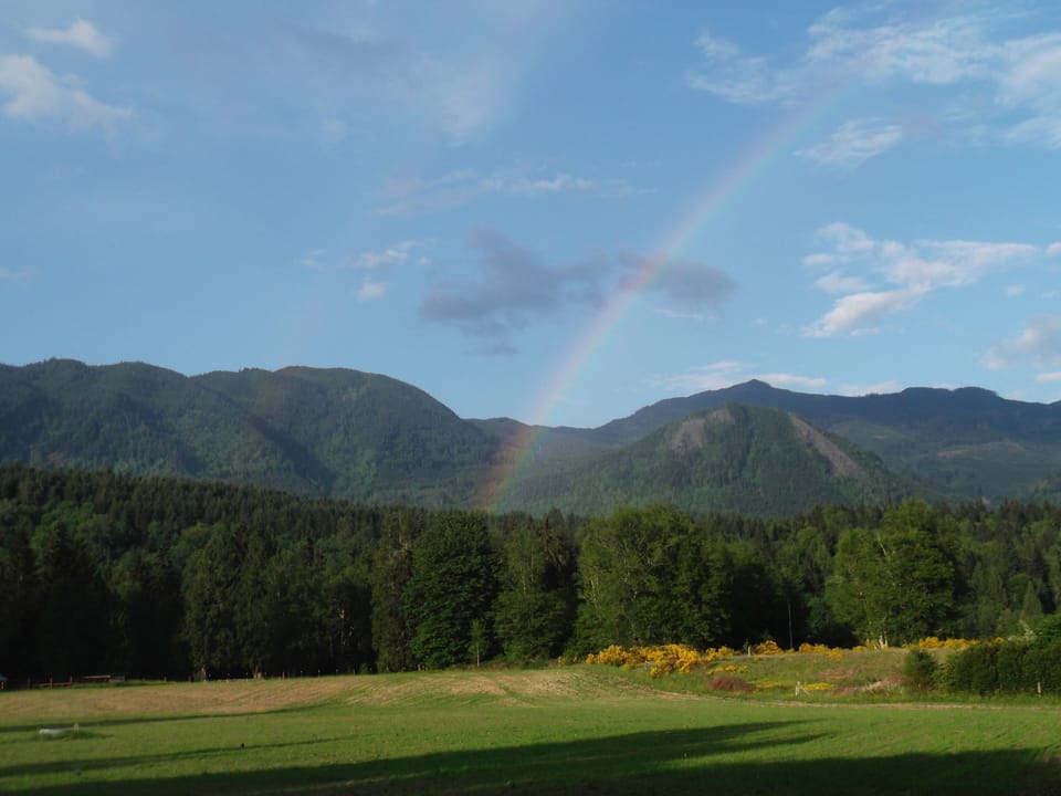 Summer beauty in the  North Fork River Valley,