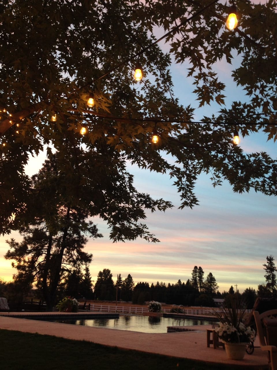 view when sitting at the fire pit 