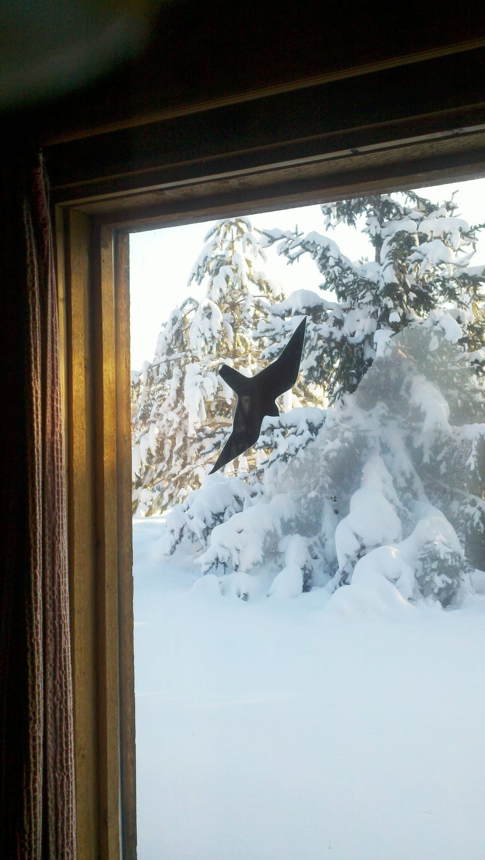 Lots of snow
