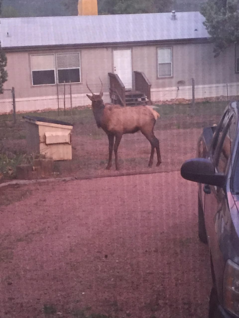Looking out the bedroom window