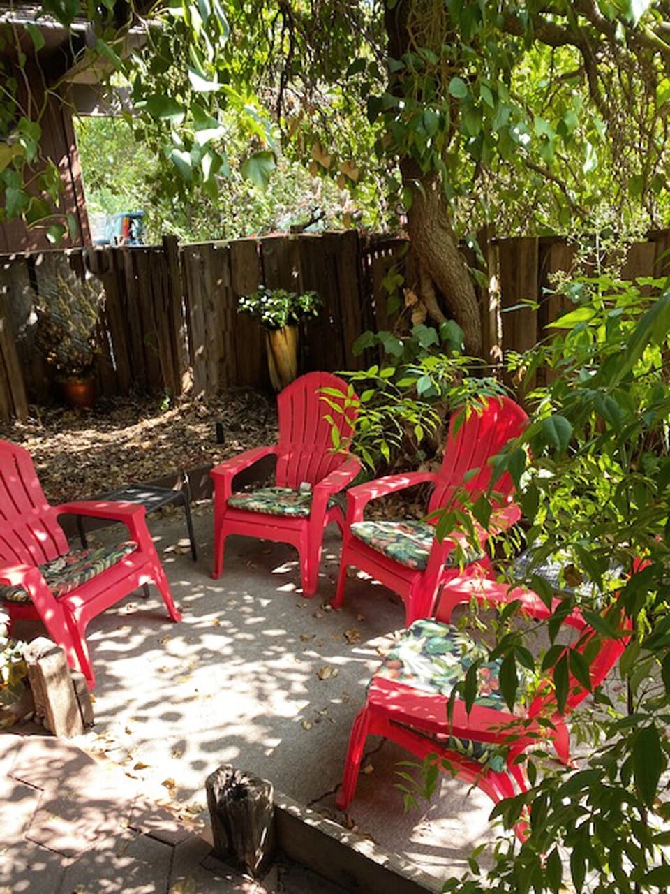 The shady front patio
