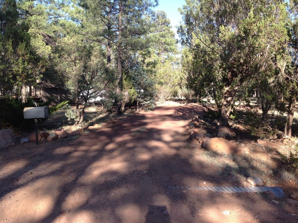 Driveway into cabin plenty of room for off road vehicles and trailer.