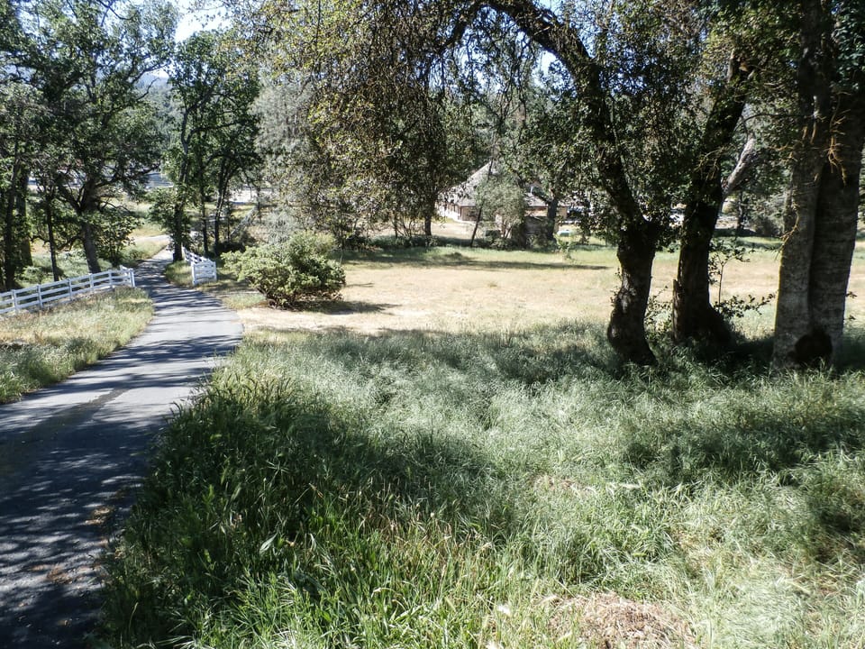 Driveway