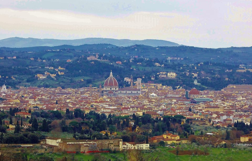 The view of the historical center of Florence