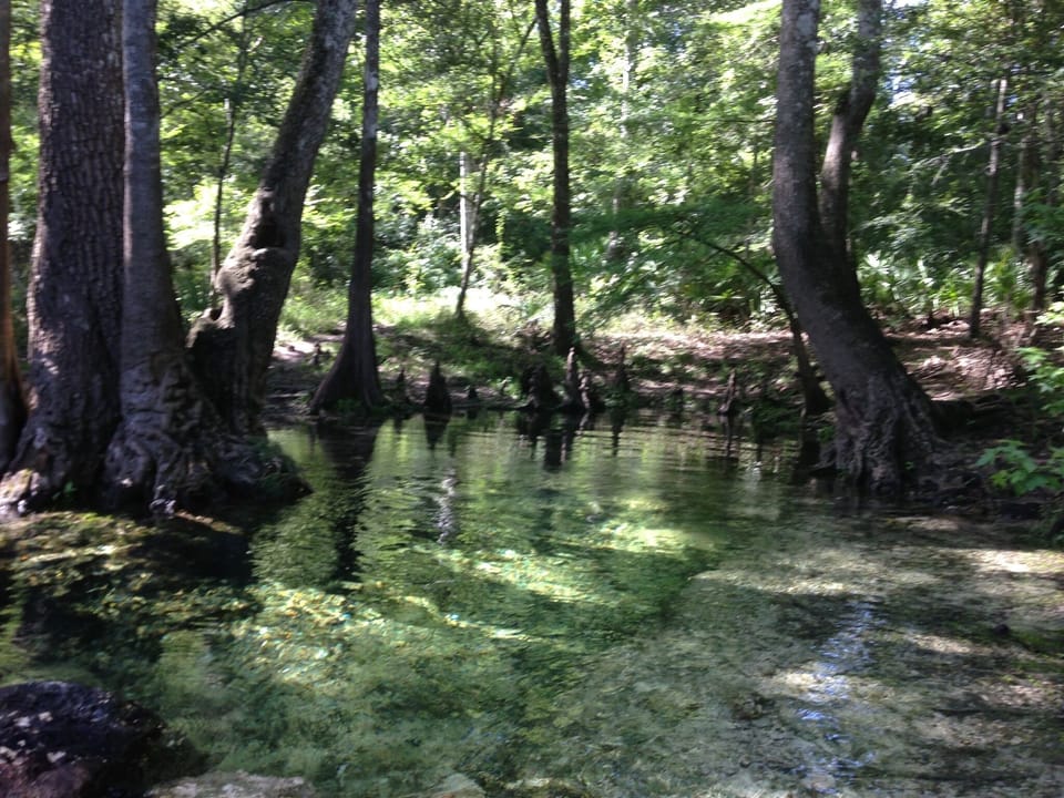 beautiful, clear, pure springs