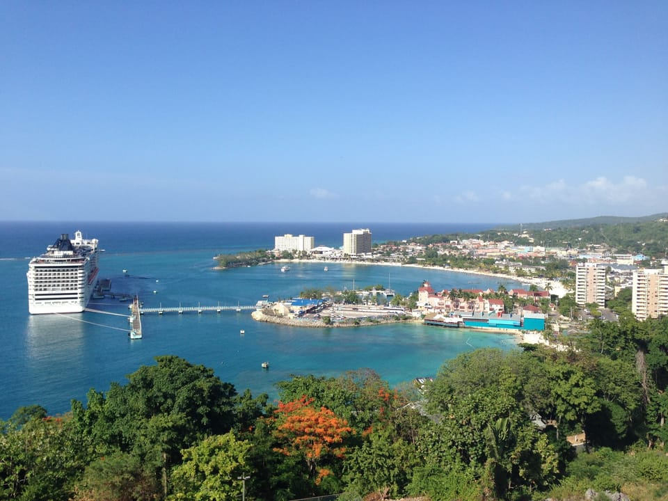 THE VIEW