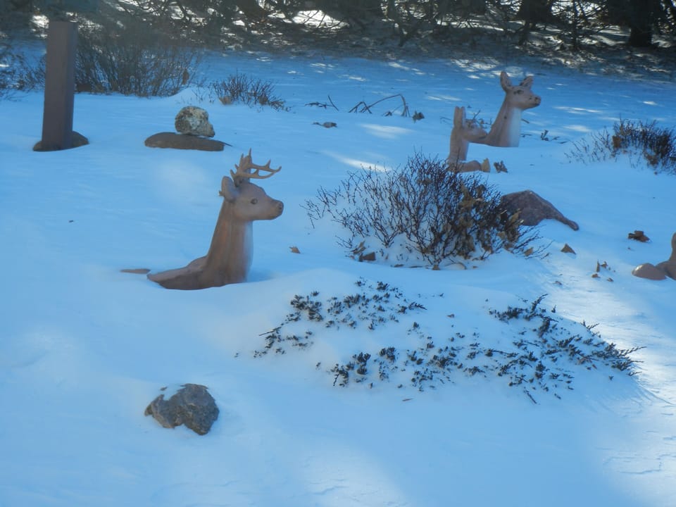 We are open year round--even when we are up to our necks in snow!