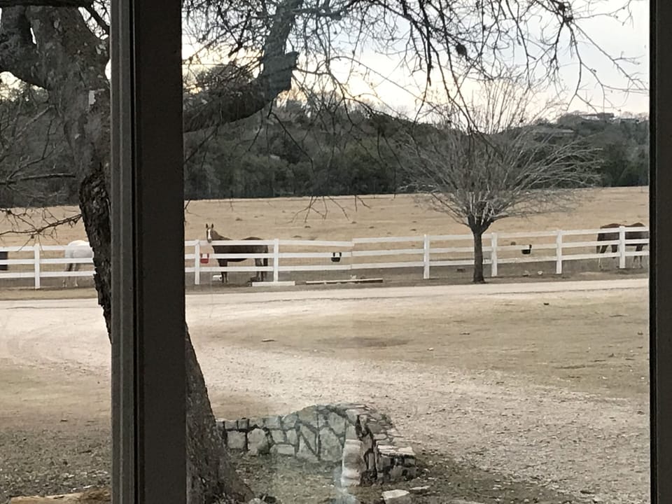 View from property