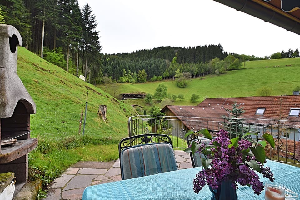 Garden [summer]