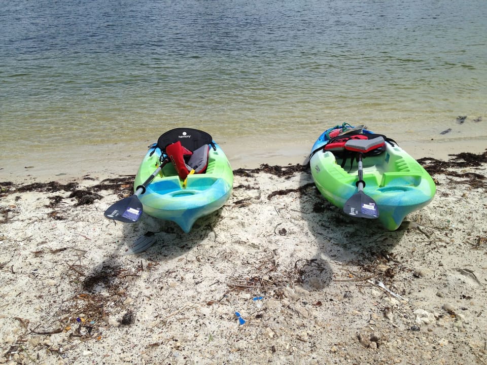 Two kayaks for your perusal