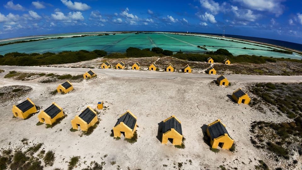 Book a 7-night stay and explore Bonaire’s beautiful southern coast with Verna on a complimentary 2-hour land tour.