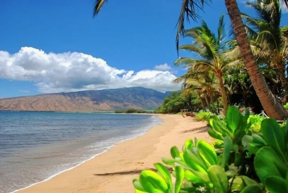 Located on Sugar Beach looking North