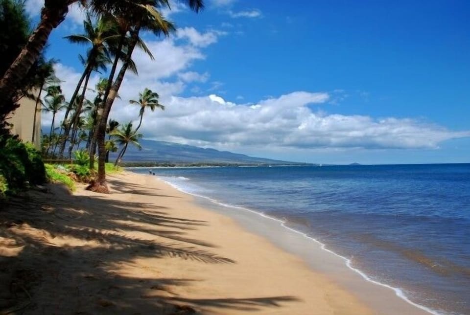 Located on Sugar Beach